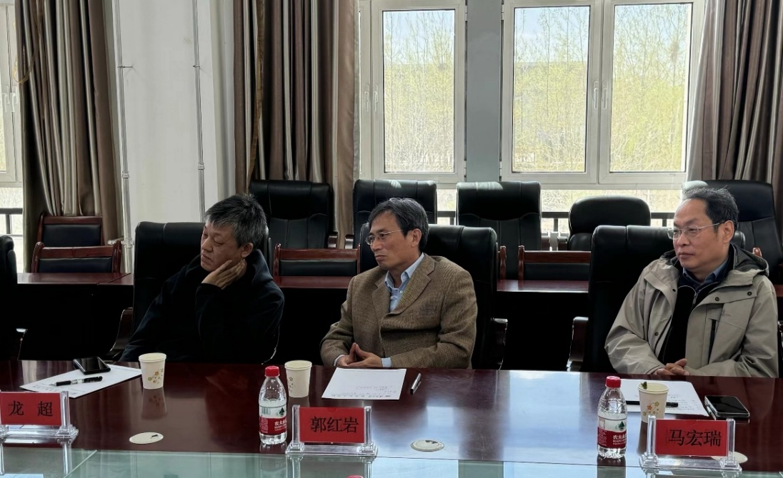 无修正