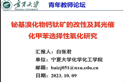 无修正