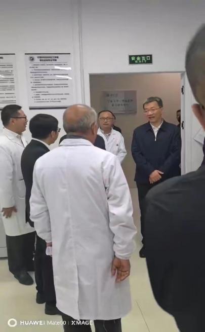 无修正