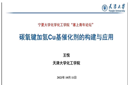 无修正